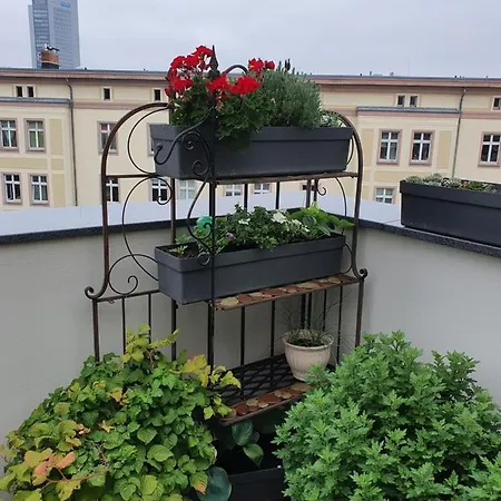 Aparthotel Luxusappartement Mitten In Neueröffnung !