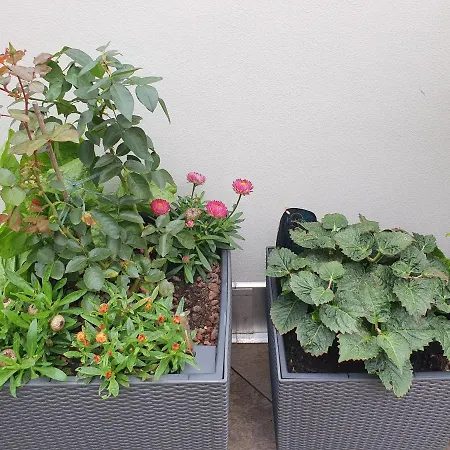 Hotel apartamentowy Luxusappartement Mitten In Neueroeffnung ! Lipsk