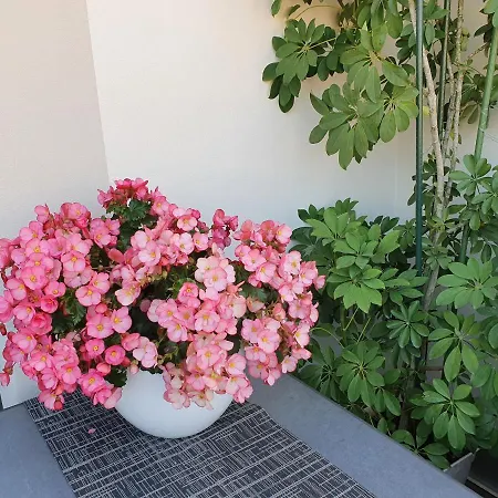 Luxusappartement Mitten In Neueroeffnung ! Hotel apartamentowy