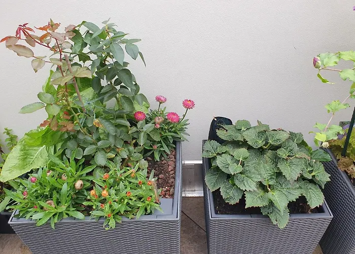 Aparthotel Luxusappartement Mitten In Neueroeffnung ! Leipzig