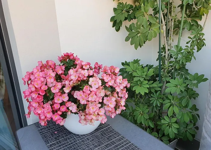 Luxusappartement Mitten In Neueroeffnung ! Aparthotel